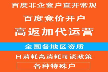 成功案例：SEM竞价代运营助力品牌崛起